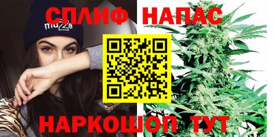 spice Пугачёв