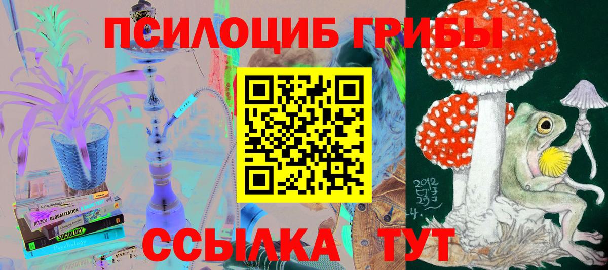 Галлюциногенные грибы ЛСД  Вход с VPN  Славгород  Псилоцибиновые грибы Cubensis 